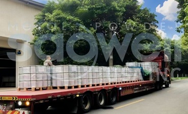 sagwell zero valent iron powder
